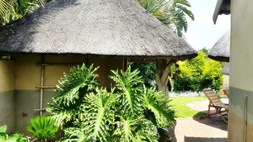 Lani'S Guest House - No Loadshedding ムシナ エクステリア 写真